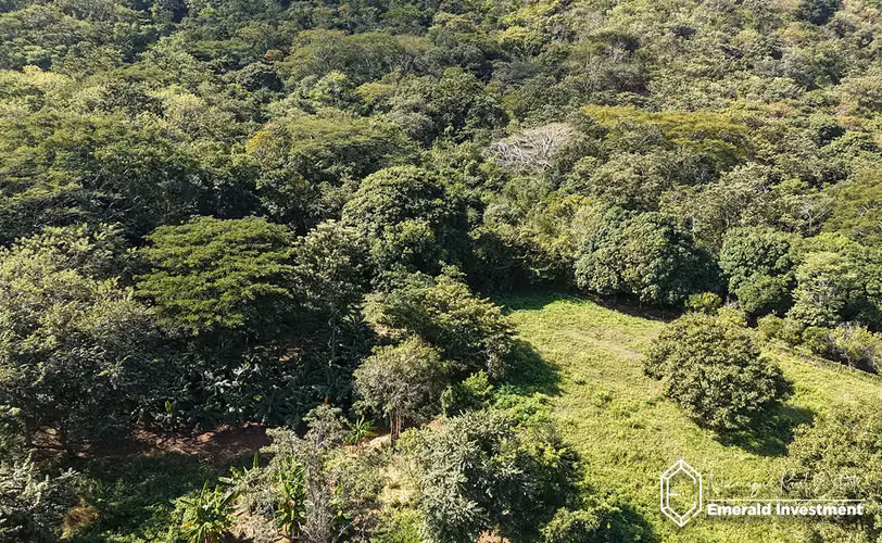 8.62 Acre Land for Sale Near Playa El Remanso | Finca San Rafael del Valle