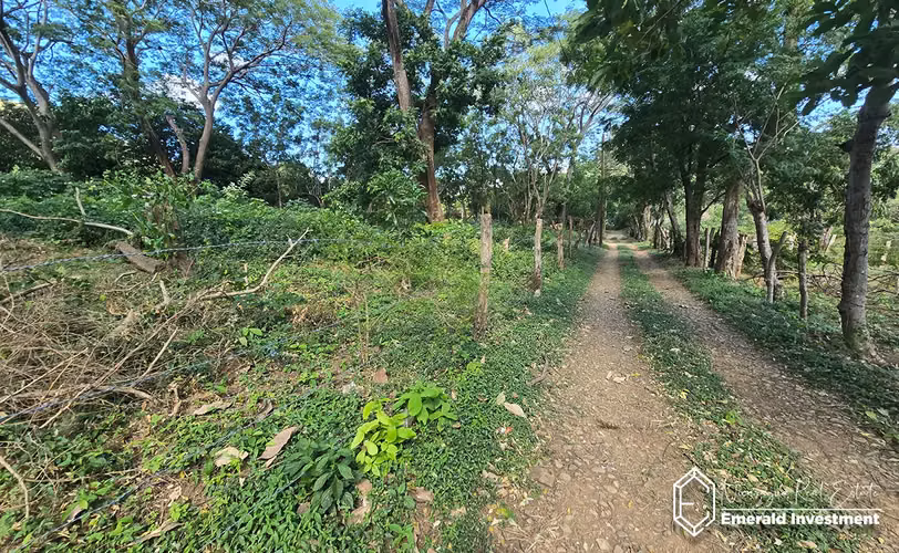 8.62 Acre Land for Sale Near Playa El Remanso | Finca San Rafael del Valle