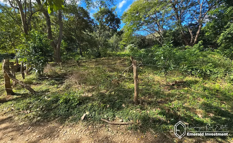 8.62 Acre Land for Sale Near Playa El Remanso | Finca San Rafael del Valle