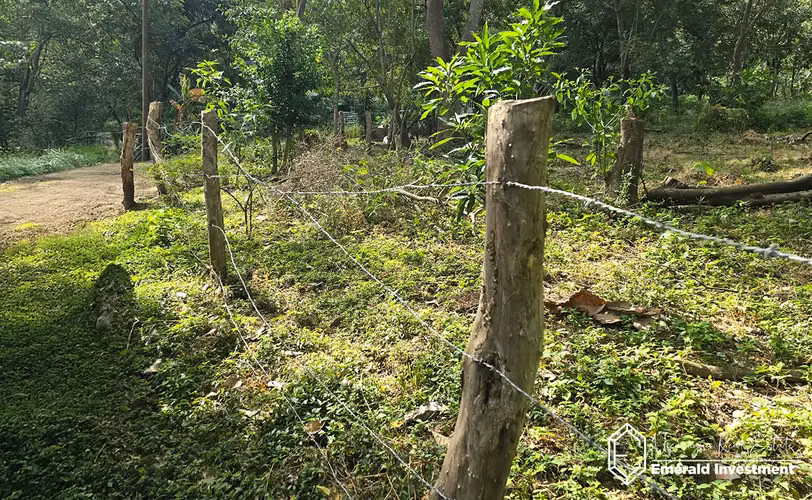 8.62 Acre Land for Sale Near Playa El Remanso | Finca San Rafael del Valle