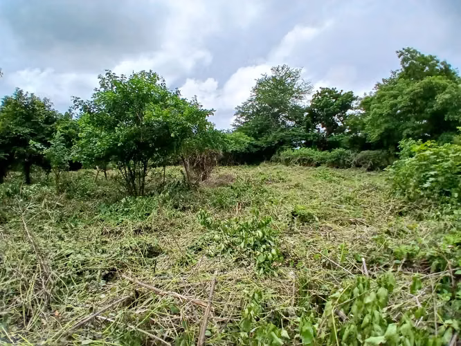 Se vende Terreno, Esquipulas