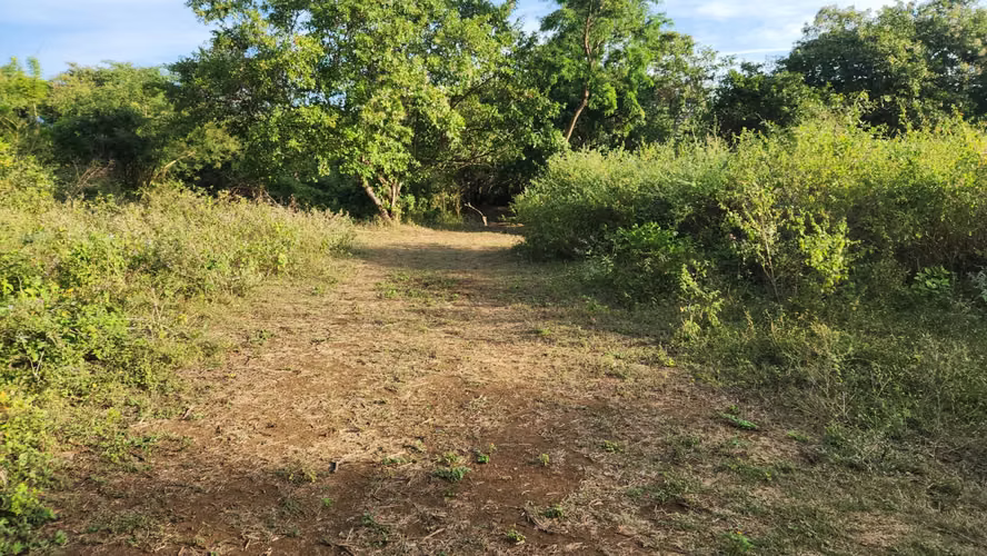 Terreno en venta  Km 12.5 Carretera a Masaya - Imagen 2