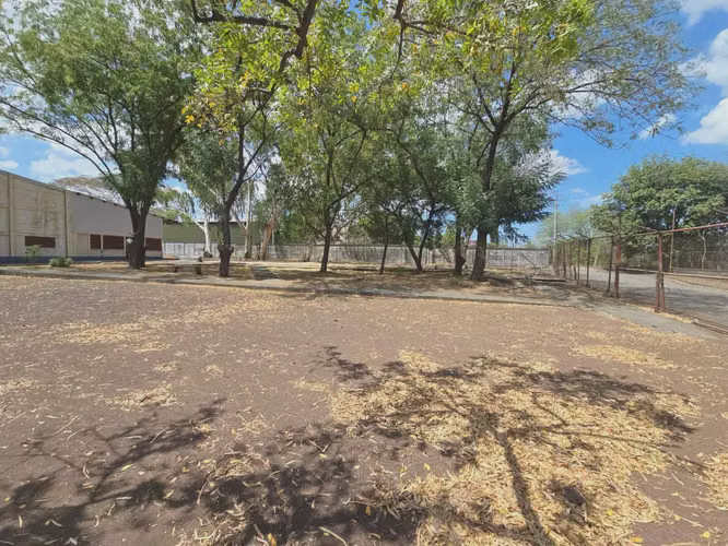 Bodega Almacenamiento 1,650 Mtr2 Carretera Norte
