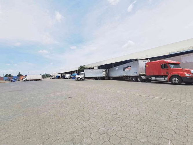 4,500 Mtr2 Bodega 5 bahías de Descargo - Carretera Norte - Imagen 8
