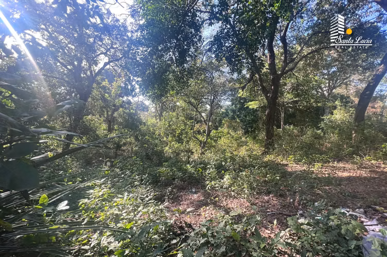 Fabuloso Terreno En la Zona más Exquisita de Santo Domingo - LL - Imagen 5