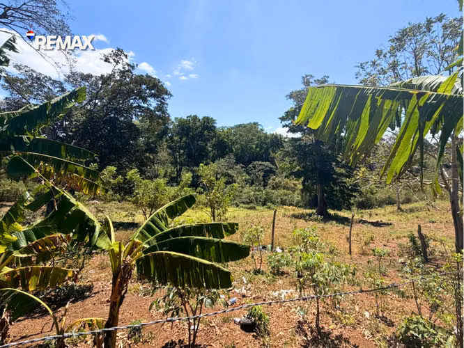 Amplia Finca Agrícola en El Crucero