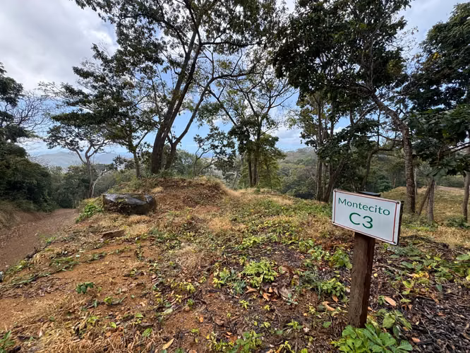 Lote C3 – Fase Montecito, El Encanto del Sur | Aceso TreeCasa Resort - Imagen 13