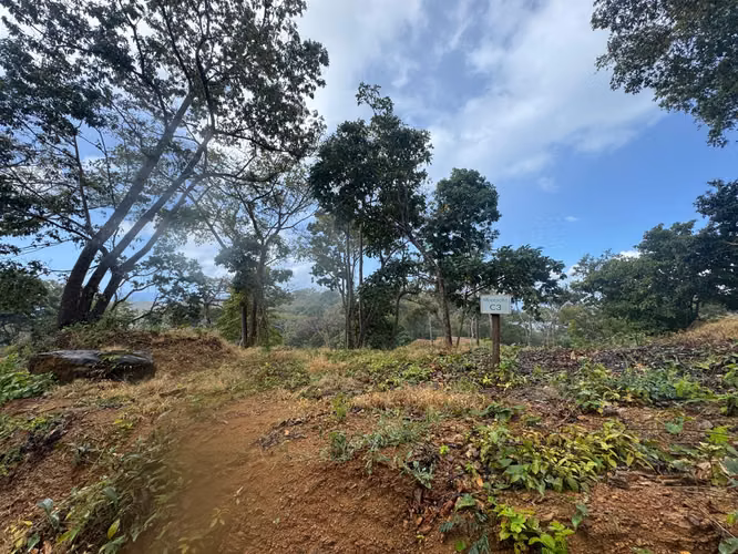 Lote C3 – Fase Montecito, El Encanto del Sur | Aceso TreeCasa Resort - Imagen 4