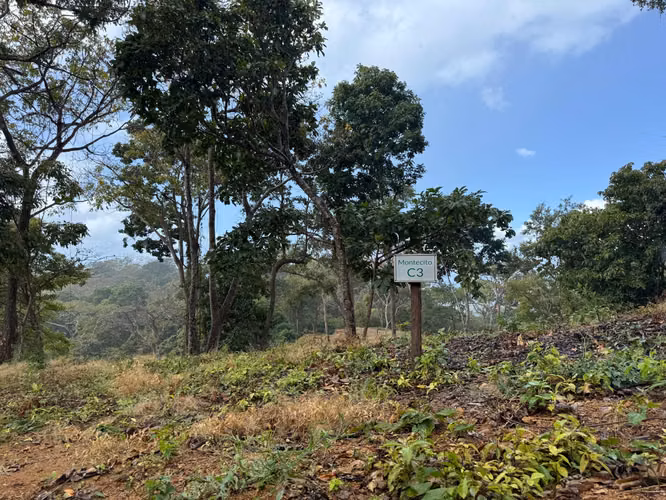 Lote C3 – Fase Montecito, El Encanto del Sur | Aceso TreeCasa Resort - Imagen 5