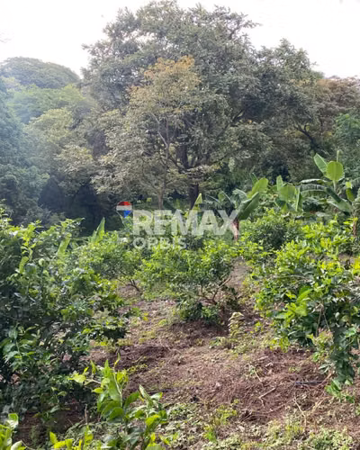Finca en Santa Teresa, Carazo.