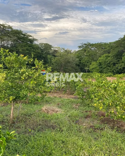 Finca in Santa Teresa, Carazo.