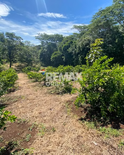 Finca en Santa Teresa, Carazo.