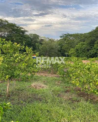 Finca en Santa Teresa, Carazo.