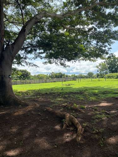 Casa A ESTRENAR de 3 habitaciones con piscina - Imagen 17