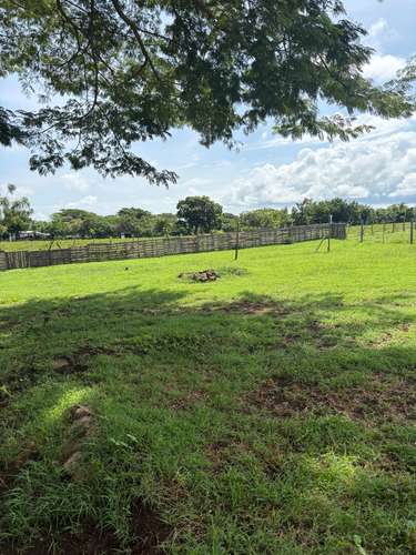 Casa A ESTRENAR de 3 habitaciones con piscina - Imagen 16
