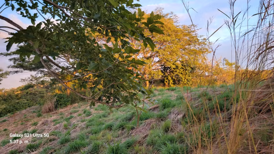 EJ-Selling land in San Juan del Sur