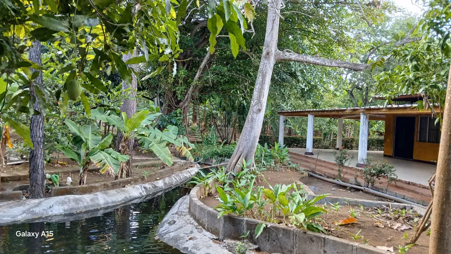 DG-Vendo quinta en Ticuantepe km 15