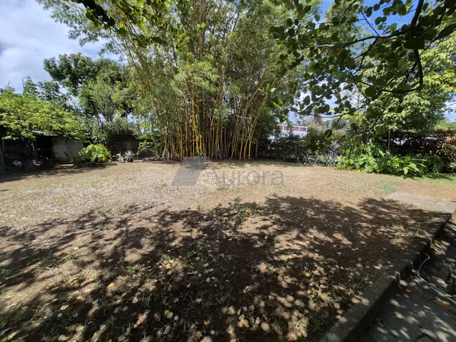 STO 1556 CH - Imagen 7
