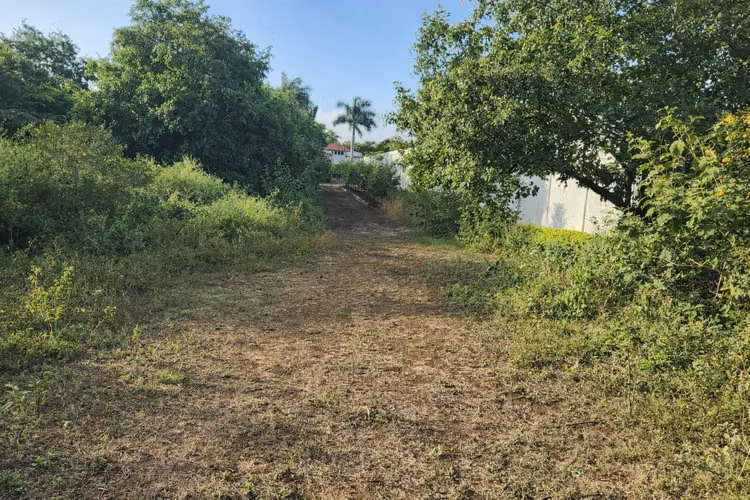 Terreno disponible en Carretera Masaya km 12.5 - Imagen 5