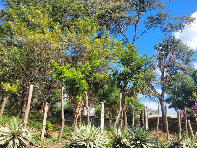 Venta de terreno en Santo Domingo - Imagen 4