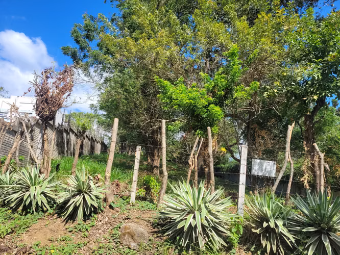 Venta de terreno en Santo Domingo - Imagen 2