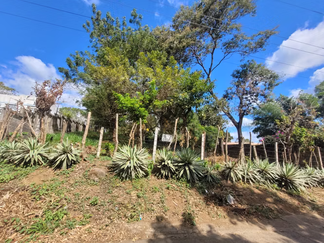 Venta de terreno en Santo Domingo - Imagen 3