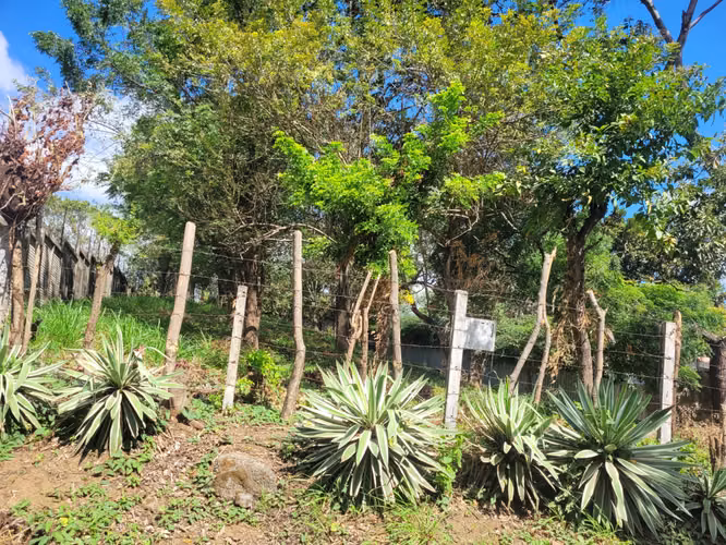 Venta de terreno en Santo Domingo - Imagen 6