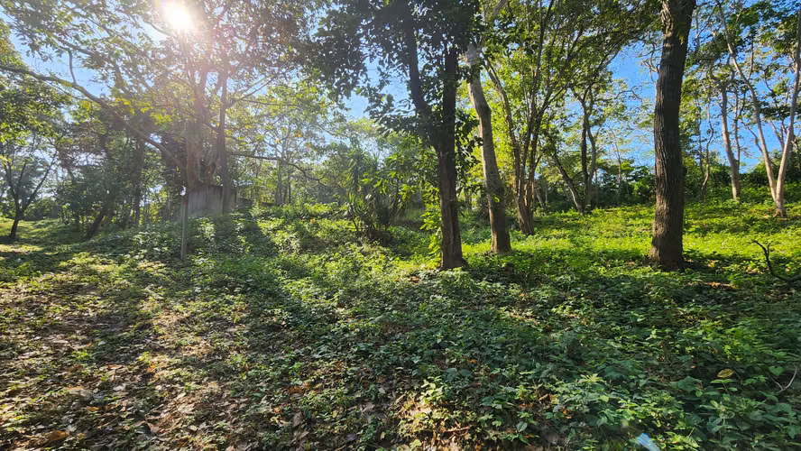 Venta de terreno en Santo Domingo - Imagen 3