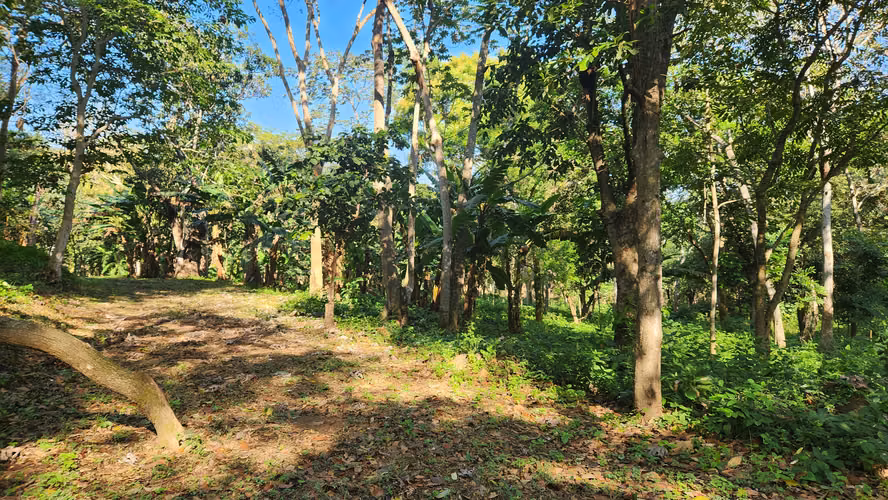 Venta de terreno en Santo Domingo - Imagen 6