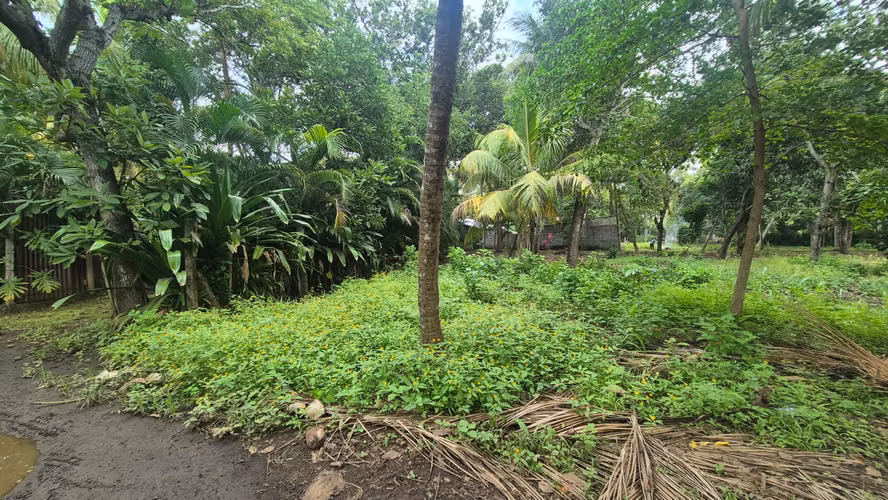 Venta de terreno en lotificación Km 13.2 C Masaya