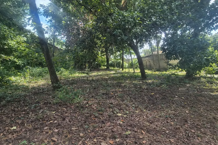 Venta de terreno en lotificación Km 13.2 C Masaya