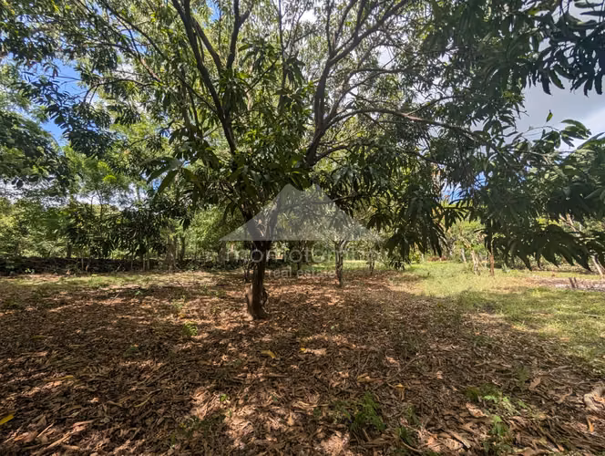 Finca en Venta Veracruz, Managua