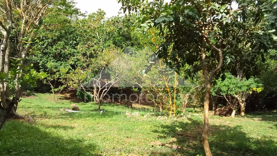 Quinta en Venta Carretera Vieja A León, Managua