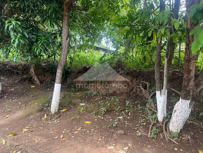 Terreno en Venta Carretera Sur, Managua - Imagen 13