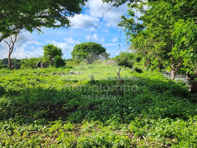 Terreno en Venta Carretera Sur, Managua - Imagen 15