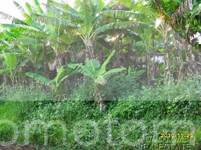 Terreno en Venta Esquipulas, Managua - Imagen 2
