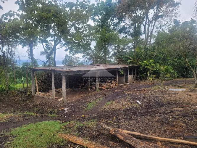Finca en Venta Jinotega, Jinotega