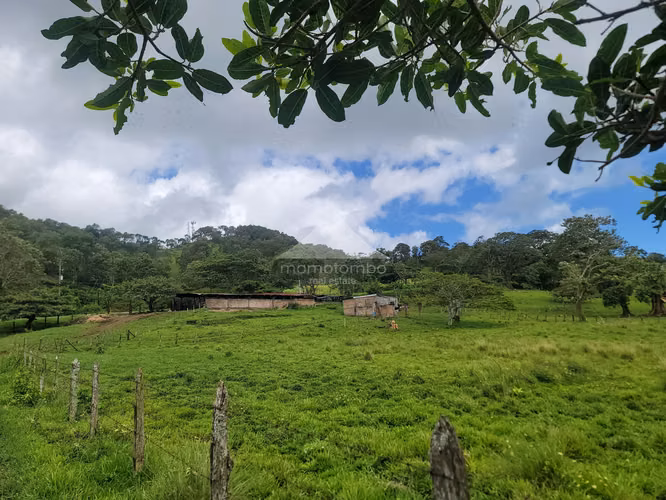 Finca en Venta Jinotega, Jinotega