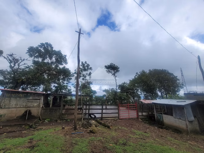 Finca en Venta Jinotega, Jinotega