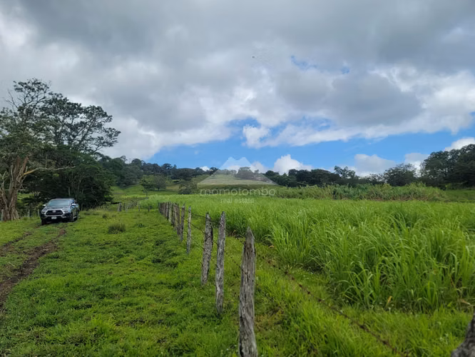 Finca en Venta Jinotega, Jinotega