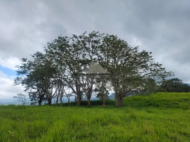 Finca en Venta Jinotega, Jinotega