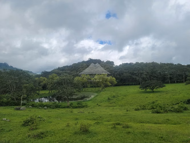Finca en Venta Jinotega, Jinotega