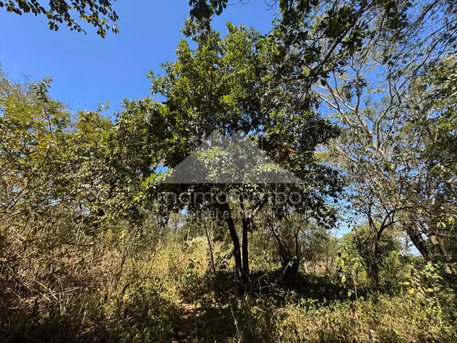 Terreno en Venta Camino A Jocote Dulce, Managua - Imagen 3