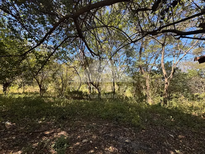 Terreno en Venta Camino A Jocote Dulce, Managua - Imagen 4