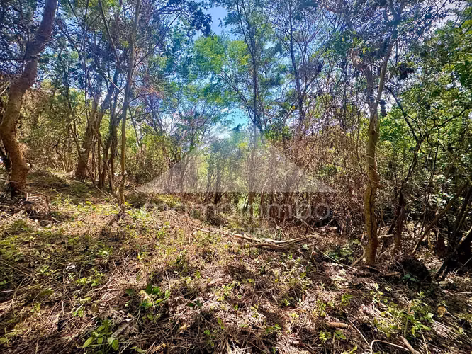 Terreno en Venta Villa Fontana Sur, Managua - Imagen 2