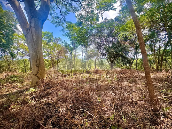 Terreno en Venta Villa Fontana Sur, Managua - Imagen 5