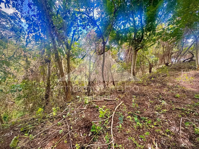 Terreno en Venta Villa Fontana Sur, Managua - Imagen 7