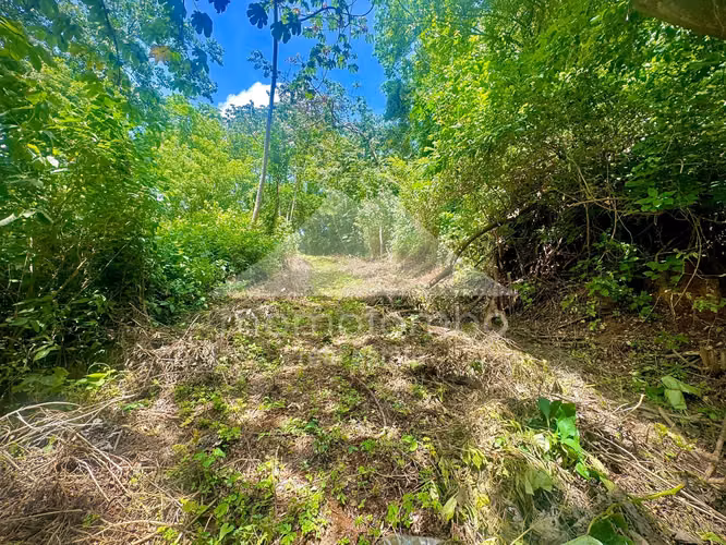 Terreno en Venta Villa Fontana Sur, Managua - Imagen 6