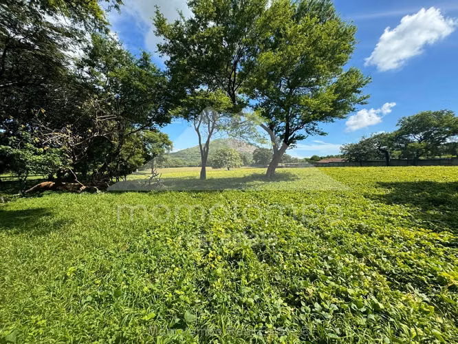 Terreno en Venta Nejapa, Managua