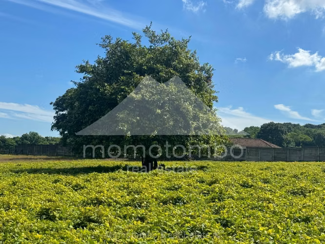 Terreno en Venta Nejapa, Managua